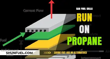 Can Fuel Cells Run on Propane? Exploring Alternative Fuel Options