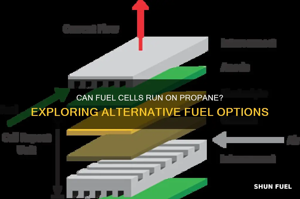 can fuel cells run on propane