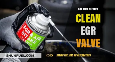 Can Fuel Cleaner Effectively Clean Your EGR Valve? Find Out Here