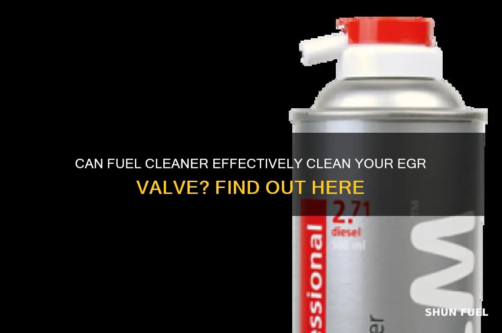 can fuel cleaner clean egr valve