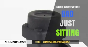 Can a Fuel Cutoff Switch Fail While Inactive? Exploring the Possibility