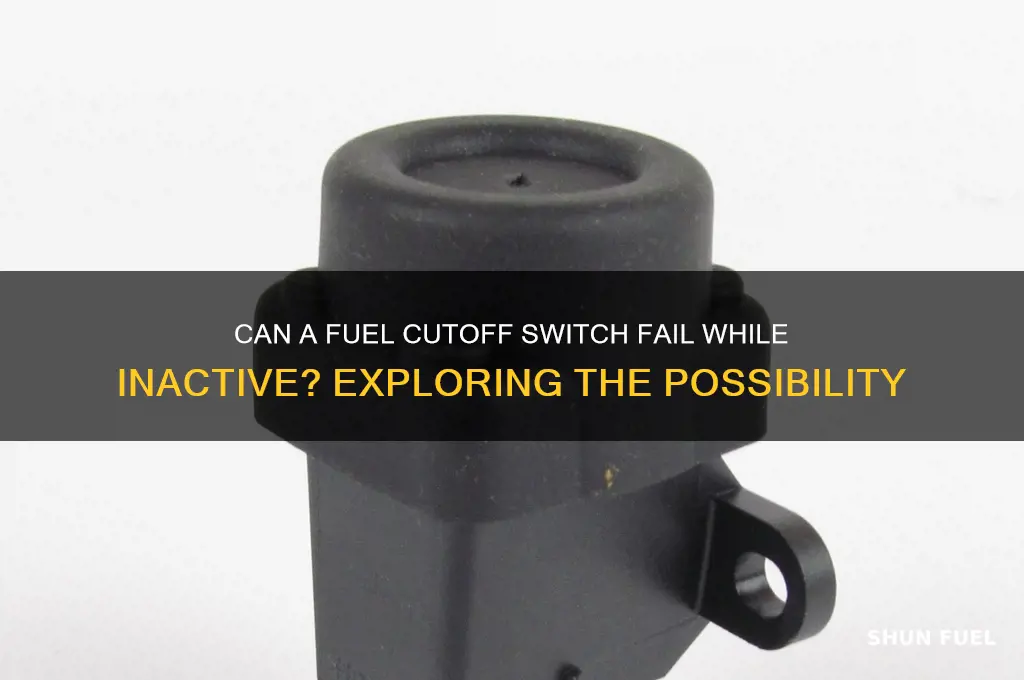 can fuel cutoff switch go bad just sitting