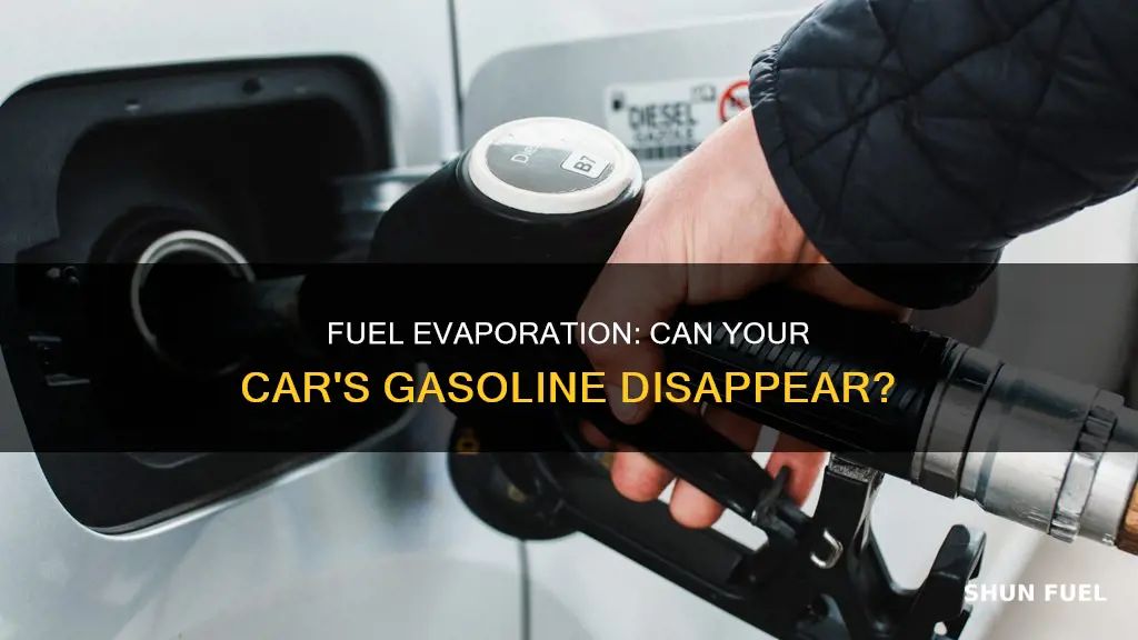 can fuel evaporate from car