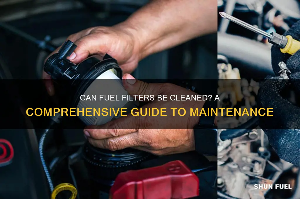 can fuel filter be cleaned