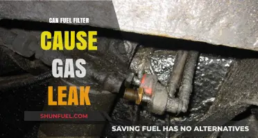 Can a Faulty Fuel Filter Cause a Gas Leak?