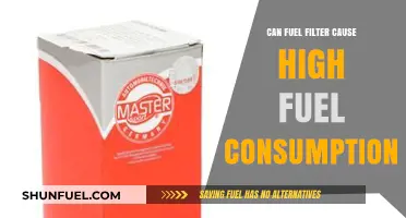 Fuel Filter: High Consumption Culprit or Coincidence?
