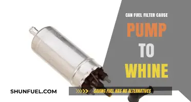Fuel Filter and Pump: Can a Clogged Filter Cause Whining?