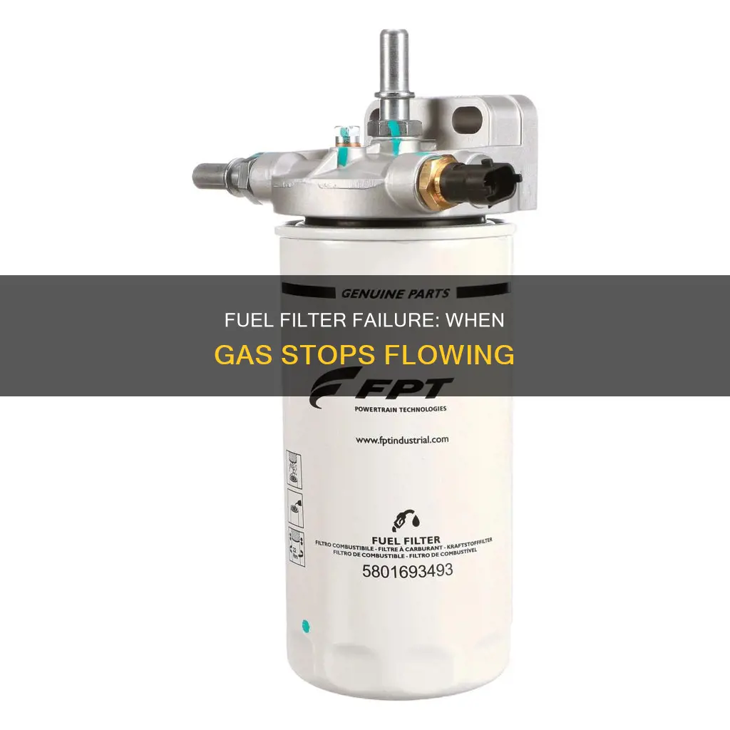 can fuel filter stop gas flow