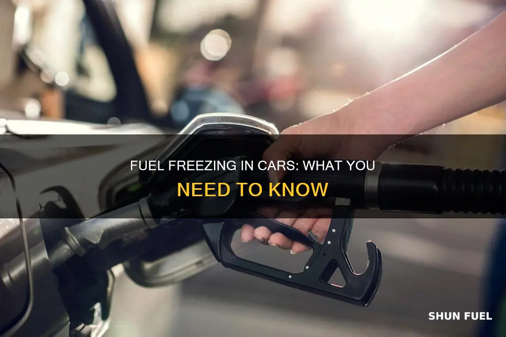can fuel freeze in car