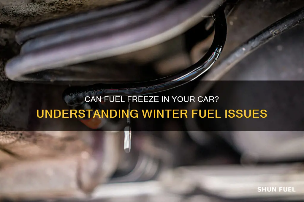 can fuel freeze in your car