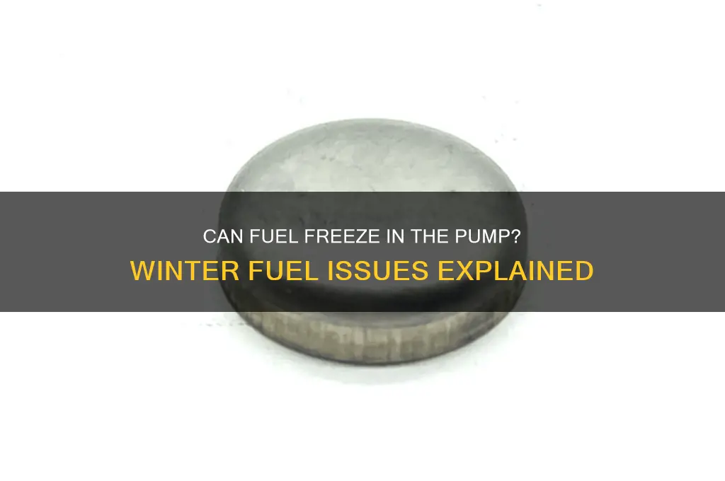 can fuel freeze up in the fuel pump