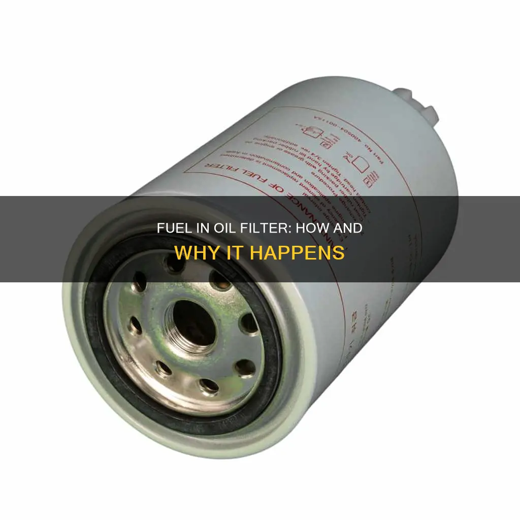 can fuel get into an oil filter