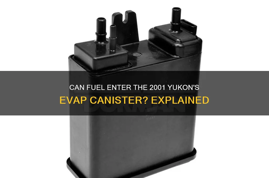 can fuel get into evap canister 2001 yukon