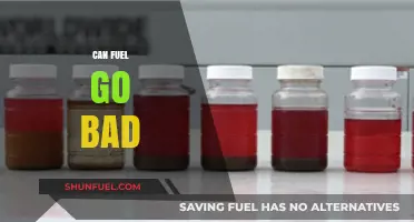 Does Fuel Expire? Understanding Gasoline and Diesel Shelf Life