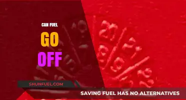 Does Fuel Expire? Understanding Gasoline and Diesel Shelf Life