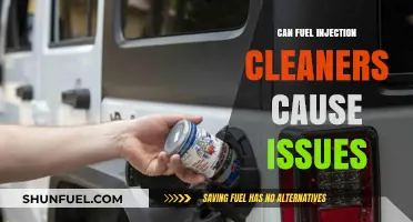 Fuel Injection Cleaners: Potential Problems and Performance Pitfalls Explored