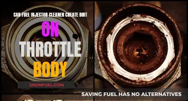 Fuel Injector Cleaner: Dirt on Throttle Body?