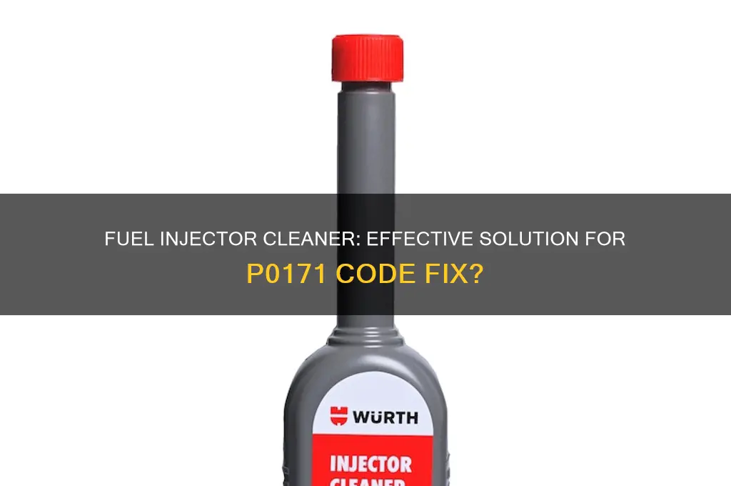 can fuel injector cleaner fix p0171-code