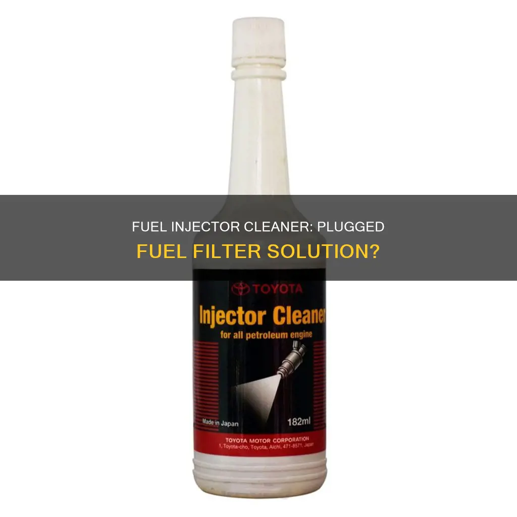 can fuel injector cleaner plug a fuel filter