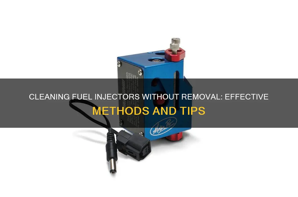 can fuel injectors be clean without removal
