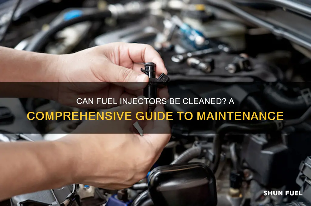can fuel injectors be cleaned