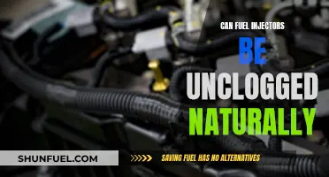 Fuel Injectors: Unclogging Naturally, Is It Possible?