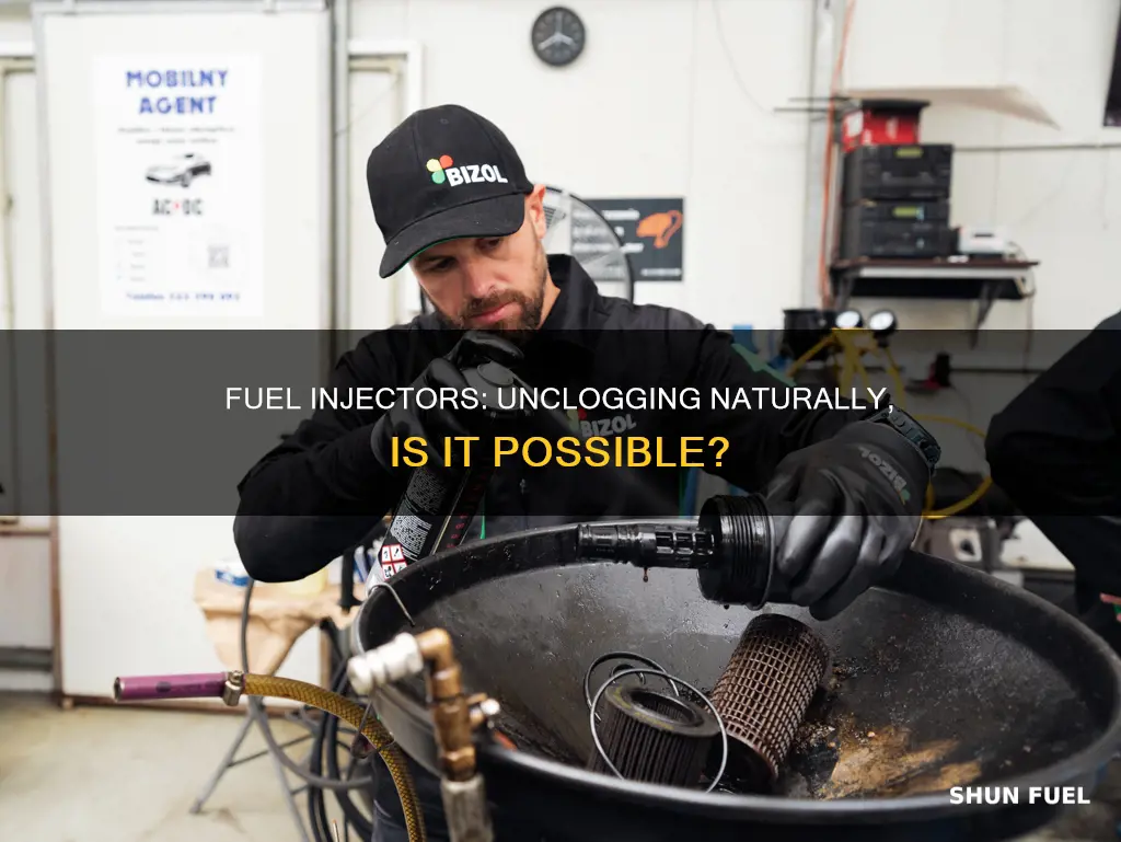 can fuel injectors be unclogged naturally