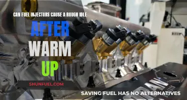 Fuel Injector Issues: Rough Idle Post-Warm Up?