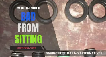 Fuel Injector Issues: Sitting Pretty or Sitting Badly?