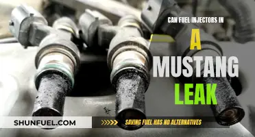 Fuel Injector Leaks in Mustangs: What You Need to Know