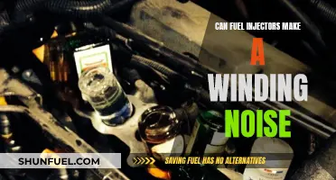 Fuel Injectors: Why They Make a Winding Noise