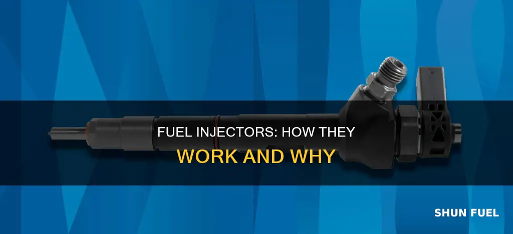 can fuel injectors work