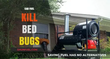 Can Fuel Eliminate Bed Bugs? Facts and Safety Concerns Explained