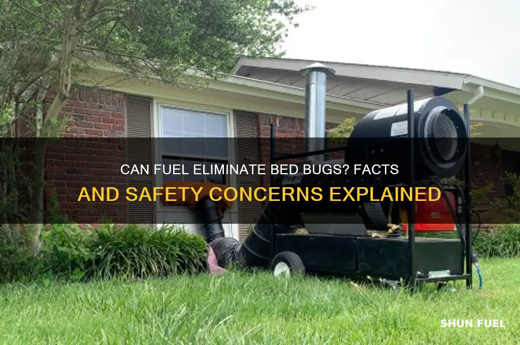 can fuel kill bed bugs