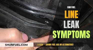 Fuel Line Leaks: Spotting the Signs and What to Do