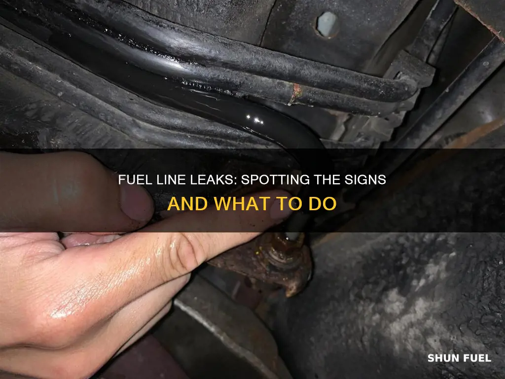 can fuel line leak symptoms