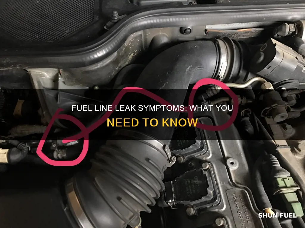 can fuel line leak symptoms