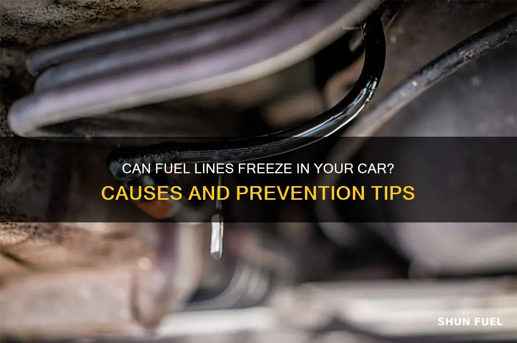 can fuel lines freeze on a car