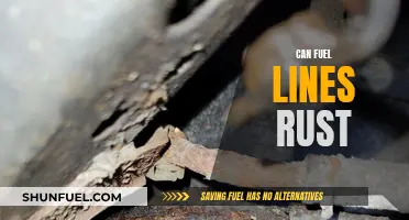 Can Fuel Lines Rust? Uncovering the Truth