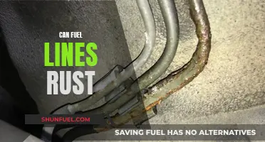 Rusty Fuel Lines: What You Need to Know