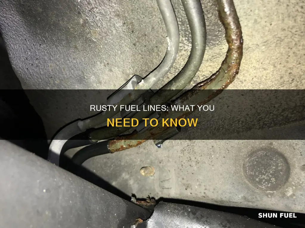 can fuel lines rust