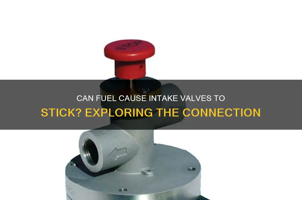 can fuel make intake valves to stick