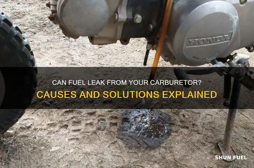 can fuel pour out of my carburetor