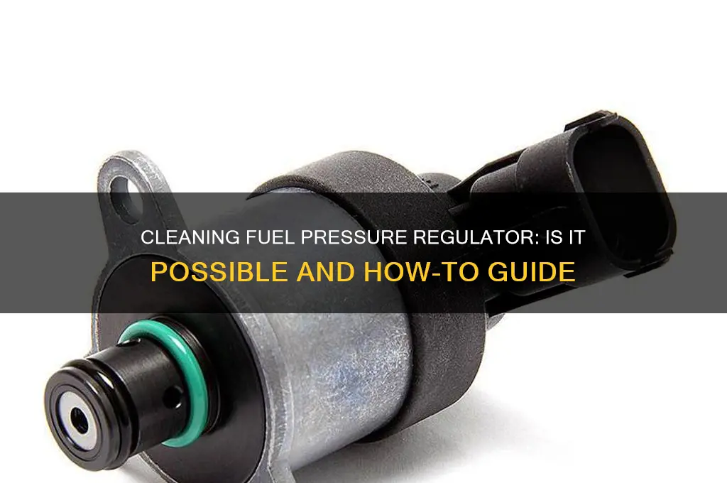 can fuel pressure regulator be cleaned