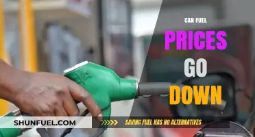 Can Fuel Prices Drop? Factors Influencing Gas Costs Explained