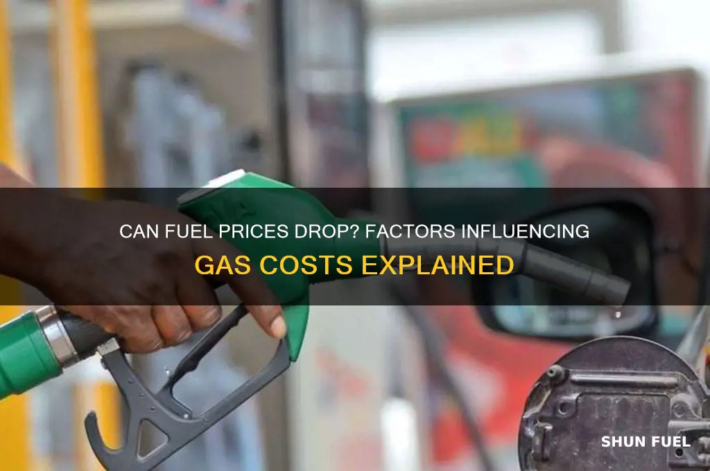 can fuel prices go down