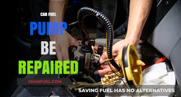 Can a Fuel Pump Be Repaired? Expert Insights and Solutions