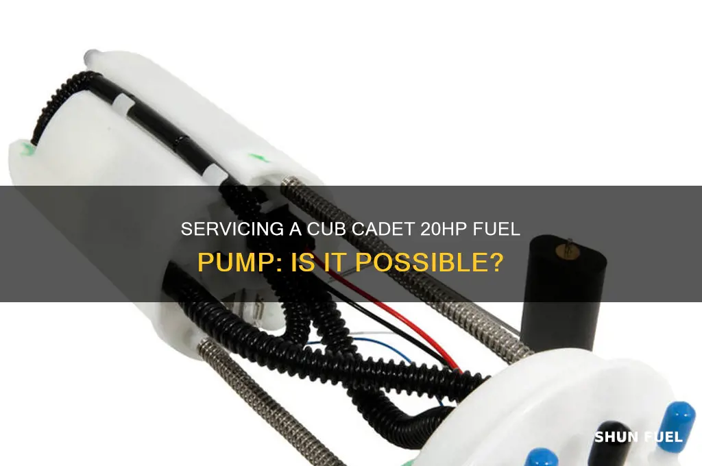 can fuel pump be serviced on cub cadet 20hp coaler