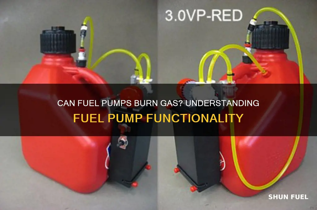 can fuel pump burn gas