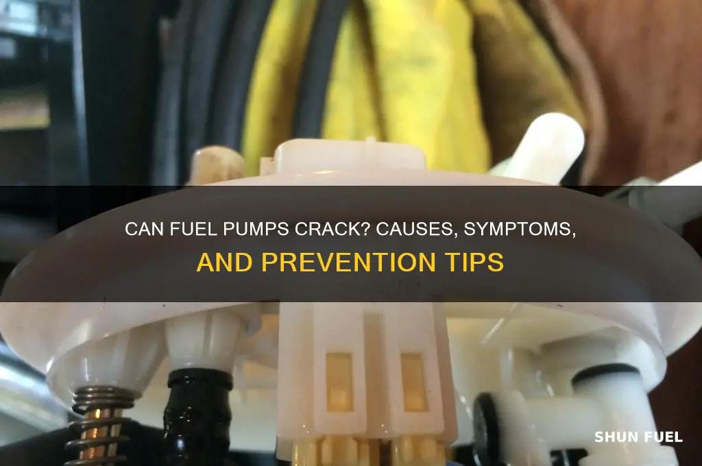 can fuel pump crack